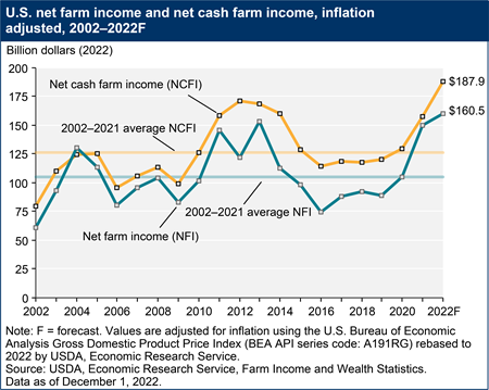 U.S. net farm income and net cash farm income, inflation adjusted, 2002–2022F